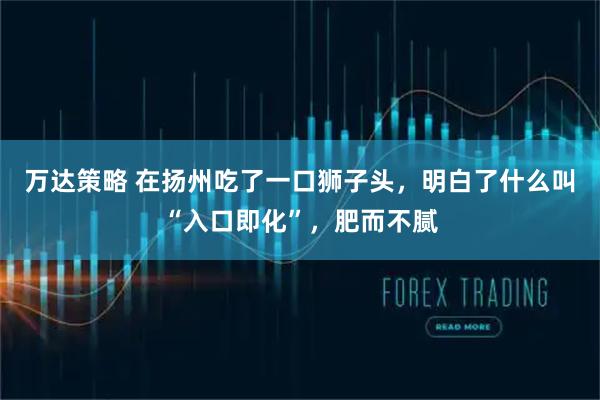 万达策略 在扬州吃了一口狮子头，明白了什么叫“入口即化”，肥而不腻