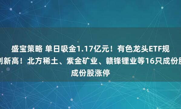 盛宝策略 单日吸金1.17亿元！有色龙头ETF规模再创新高！北方稀土、紫金矿业、赣锋锂业等16只成份股涨停