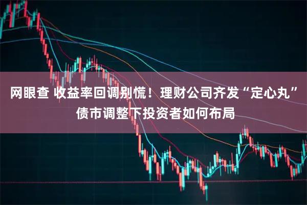网眼查 收益率回调别慌！理财公司齐发“定心丸” 债市调整下投资者如何布局