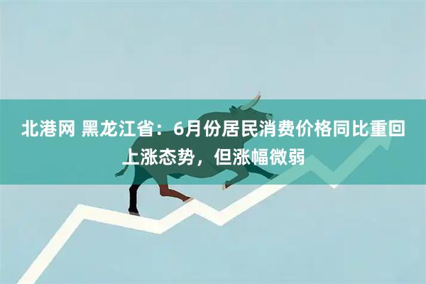 北港网 黑龙江省：6月份居民消费价格同比重回上涨态势，但涨幅微弱